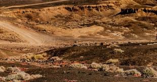 2025年12月2日，湖人 vs 太阳，湖人背靠背迎战太阳，双方实力悬殊，湖人状态火热，太阳面临两连败困境。